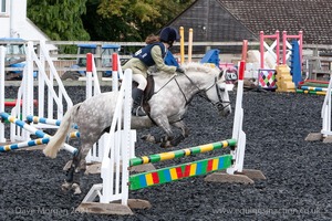 Class 4 - Fences 2'3 to 2'6